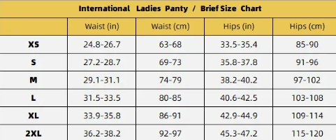 3-Layer Absorbent Menstrual Underwear