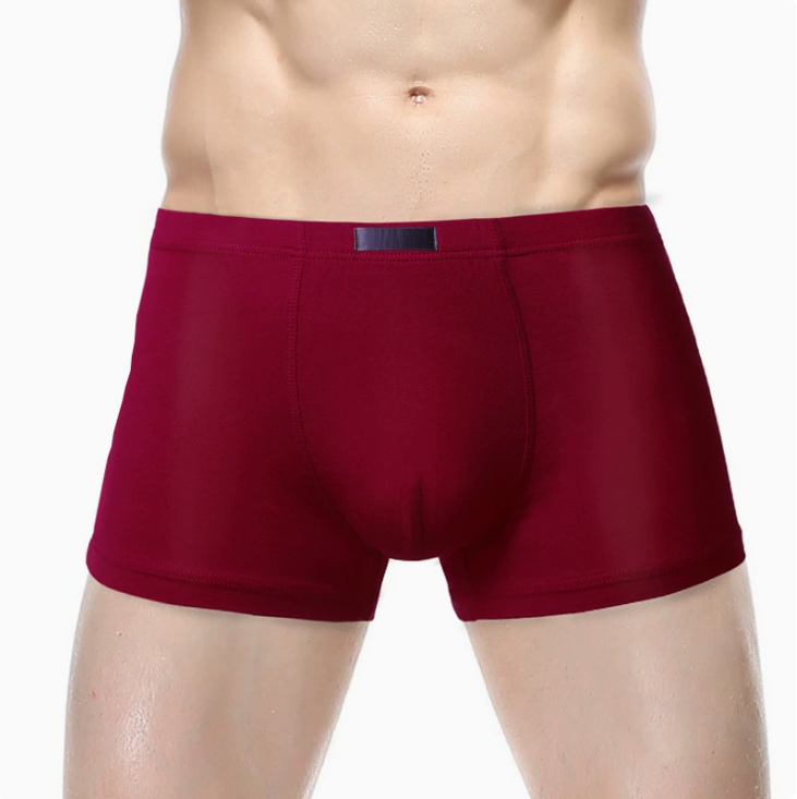 Modal Men's Underwear