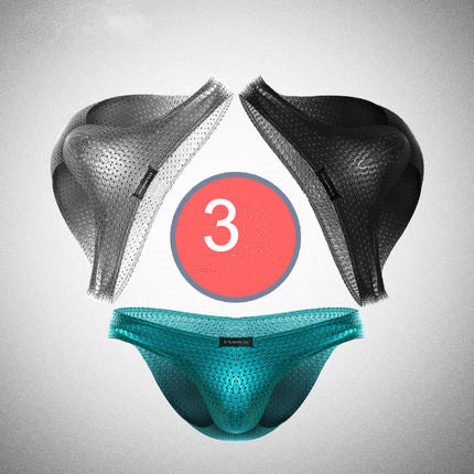 Ice Silk Mesh Underwear (Panties)