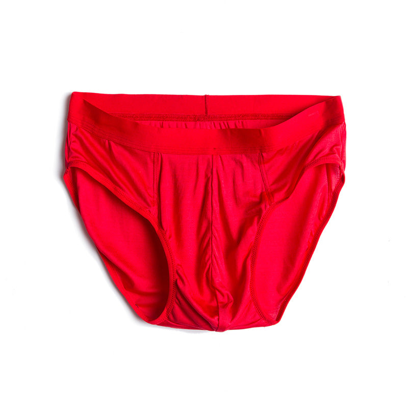 Men's Silk Underwear