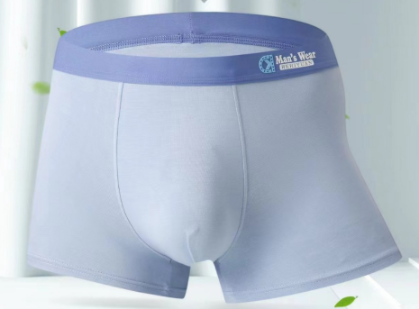 Men's Modal Underwear