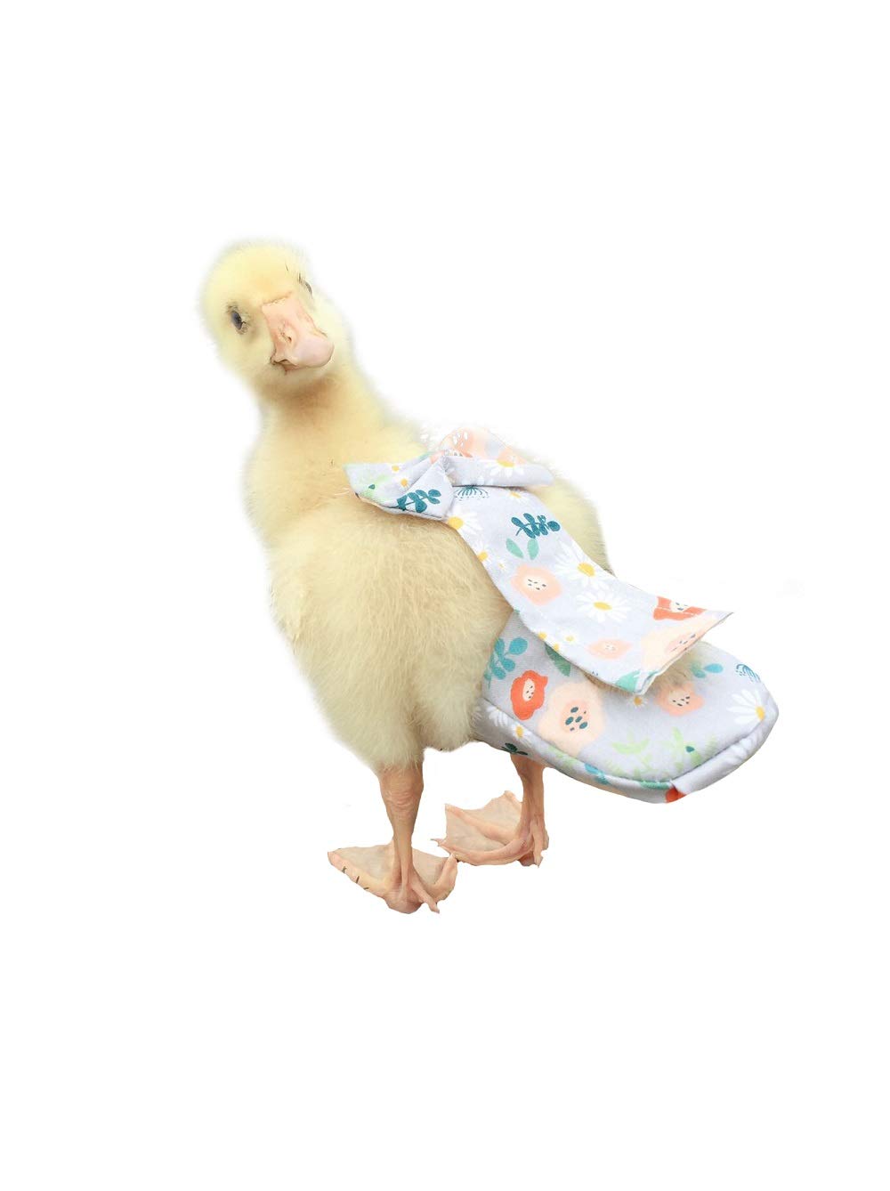 Duck Diapers Chicken Diapers Special Diapers for Poultry Chicken Duck and Goose Waterproof Adjustable Washable and Reusable Diapers，Poultry Supplies Duck Supplies (S：100克-200克)