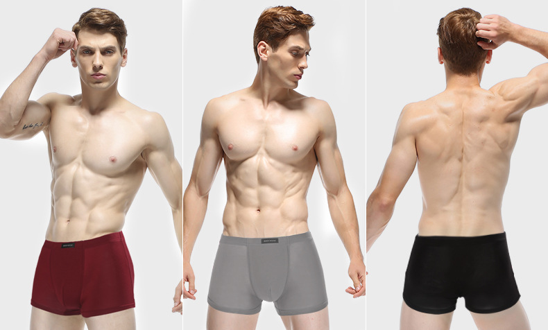 Modal Men's Underwear