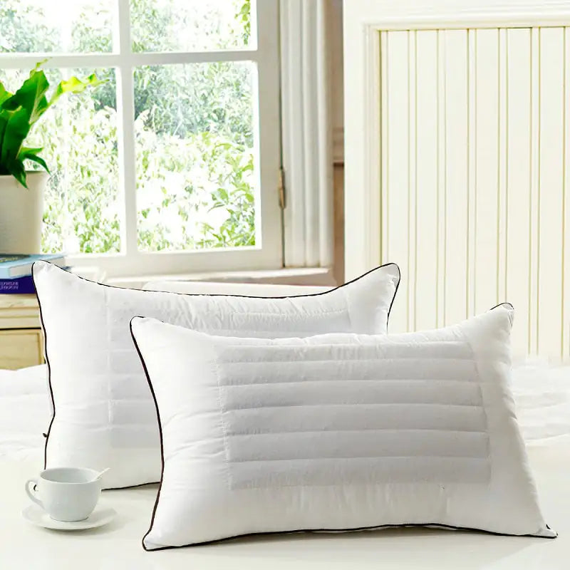Wholesale Buckwheat Compression Pillows for Hotels