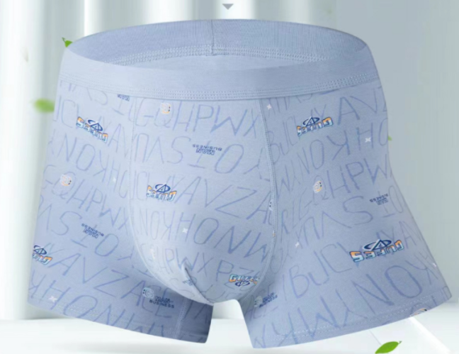 Men's Modal Underwear