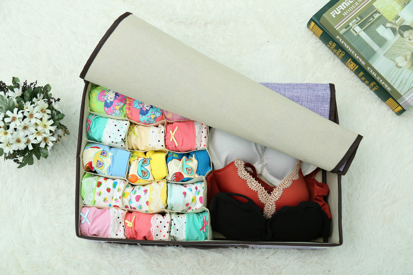 Storage Box and Furniture Organizer