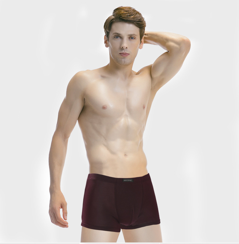 Modal Men's Underwear
