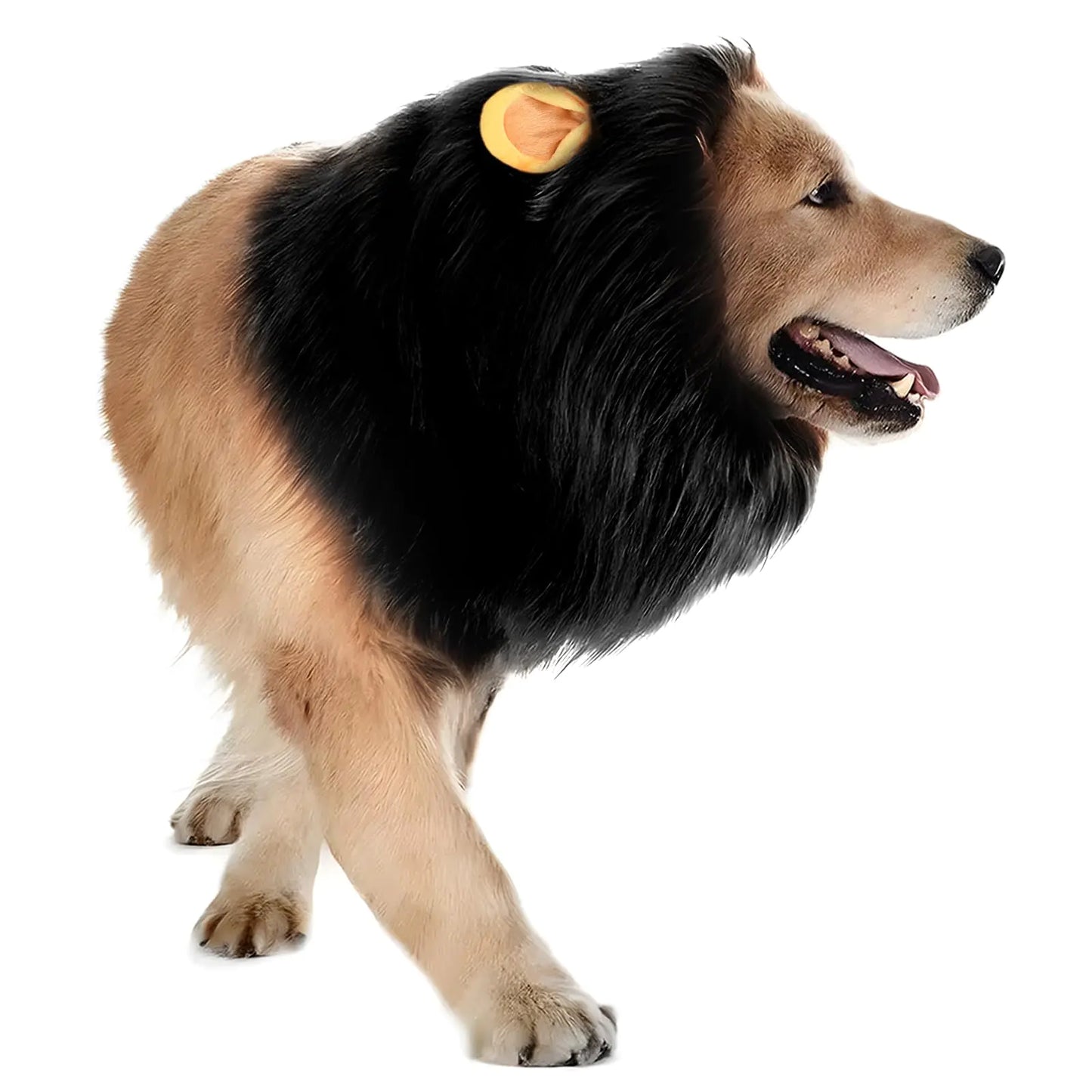 Dog Lion Mane Costume - Realistic Mane with Ears for Medium to Large Sized Dogs Pet Halloween Costumes Birthday Party Cosplay Apparel