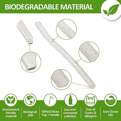 Biodegradable Wheat Straw Eyebrow Razors - 3 Pack