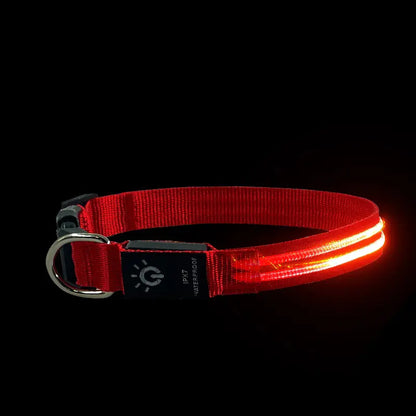 LED Waterproof Night Pet Collar with Lighting